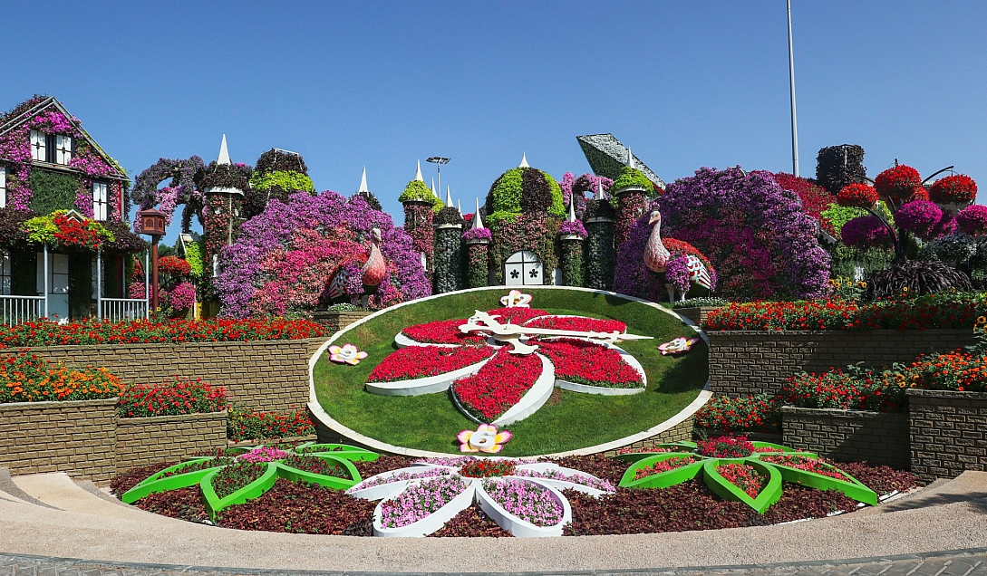 dubai miracle garden dubailand