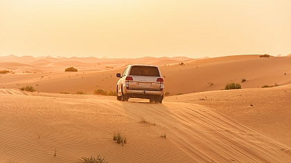 Dubai's Thrill Seeker's Paradise: Adventure and Adrenaline in the Desert